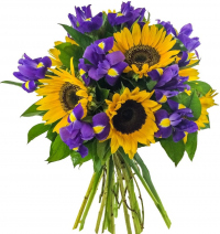 Букет «Шазам»