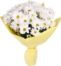 Букет «Ромашка»
